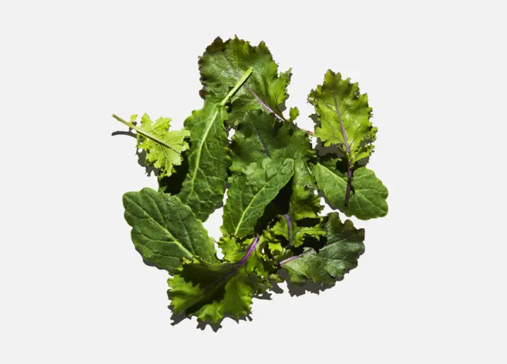 Baby Kale