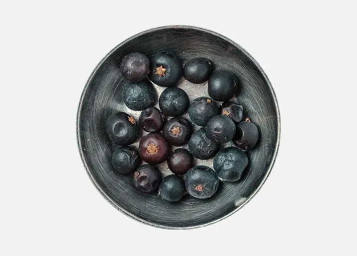 Juniper Berries