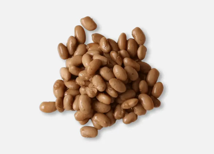 Pinto Beans