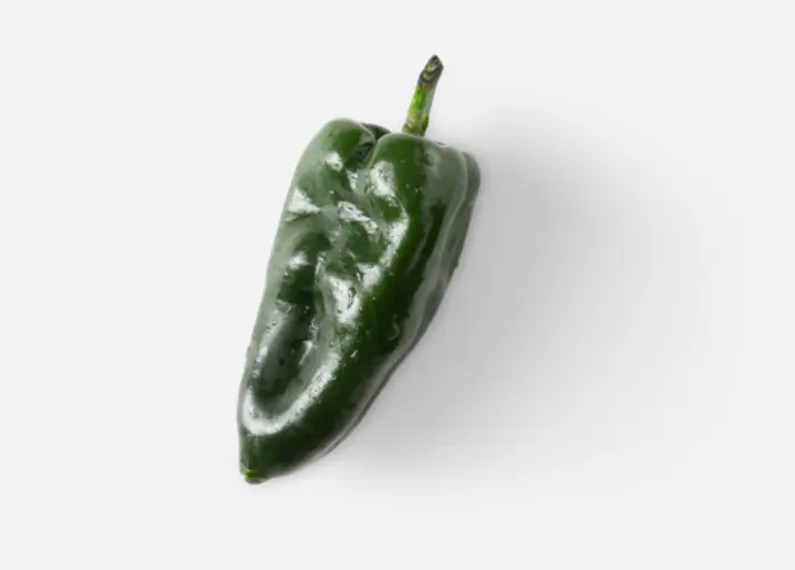Poblano Pepper