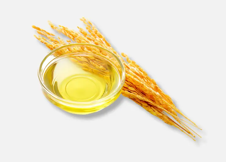 Rice Bran Oil