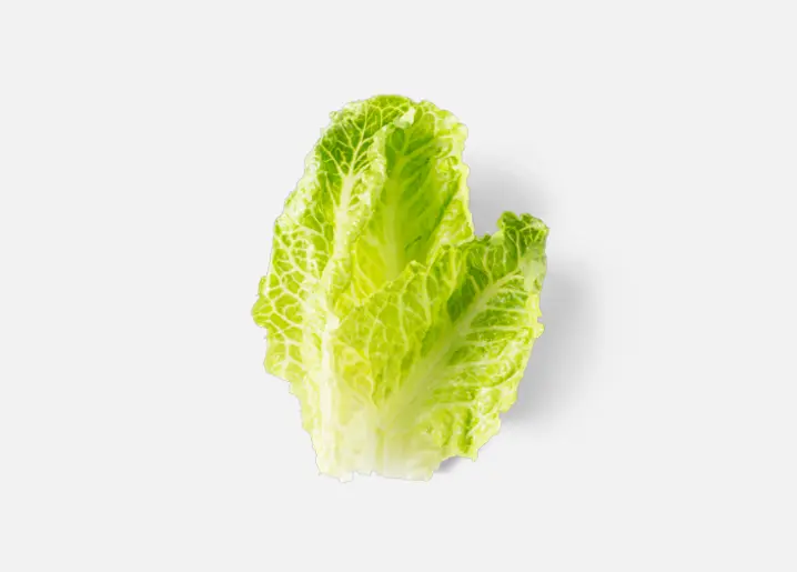 Romaine Lettuce